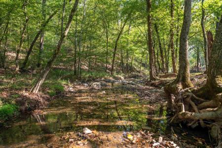 129 Windsong Bay Loop