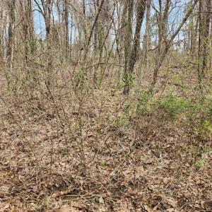 L-15, B-9 Choctaw Drive