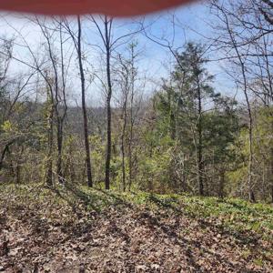 L-3, B-24 Algonquin Circle