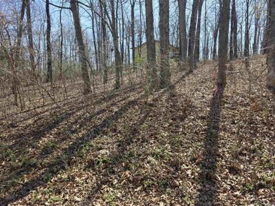 L35 B2 Powhatan Drive