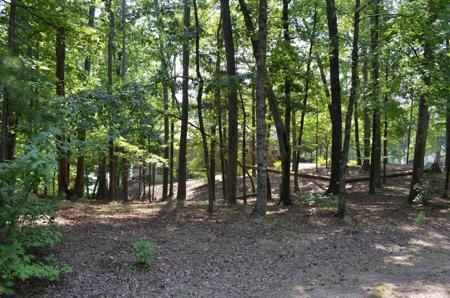 1 Sacedon cir