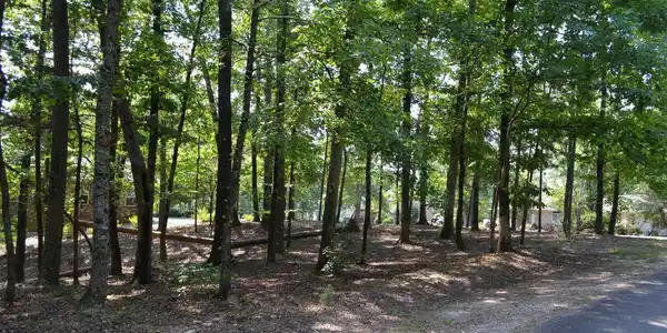 1 Sacedon cir