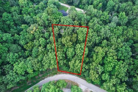 00 Robin Hood Lane