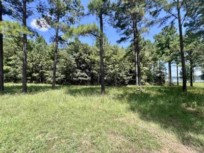 Lot 3 Eagle Brook