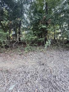lot 10 Ridge