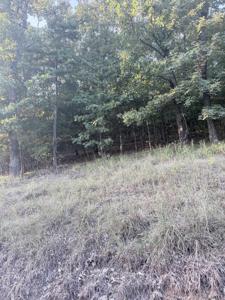 lot 13 Ridge