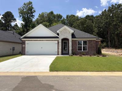 3933 Spencer Crossing