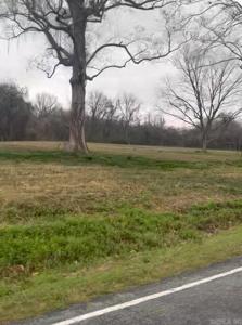 14413 Upper Steel Bend Rd