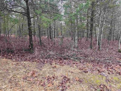 L-86,87 B-2 Gettysburg Drive