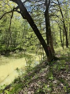 000 Treva Lane