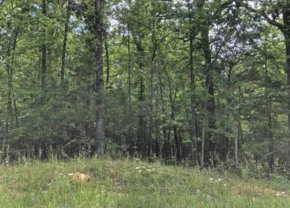 Okmulgee Drive