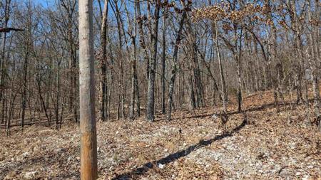 31 Ridgecrest Drive