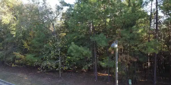 000 Dellmere