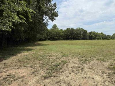 XXX Polk Road 71
