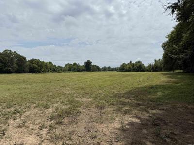 XXX Polk Road 71