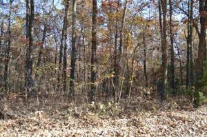 Lot 11,Block 12 Keosauqua