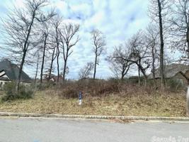 Lot 88 Naples
