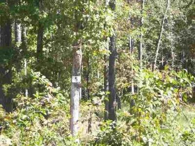 Lot 5 East Shore Dr.