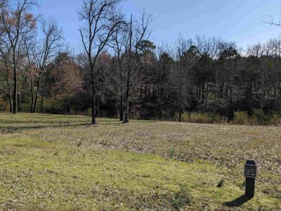 Lot 56 Brighton Pointe
