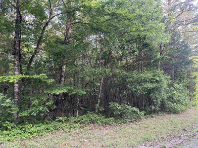 Lot 23 Brown Road