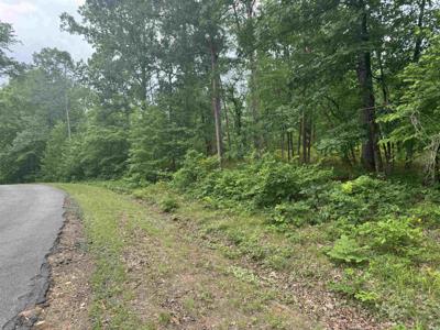 Lot 3251 Ohio Drive