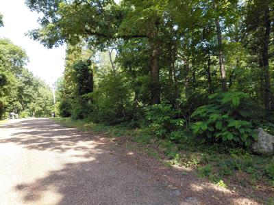 buckboard Road