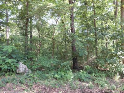 buckboard Road