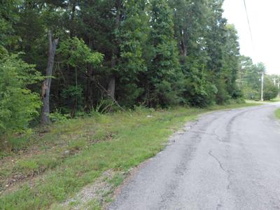 Ponderosa Drive
