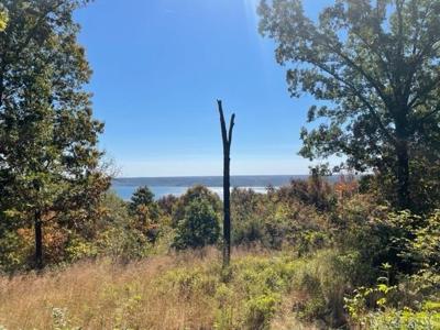 Lot 1 Diamond Bluff (Estates East)