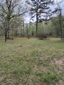 365 Ouachita 312