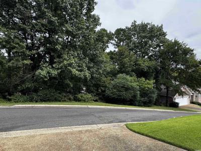 Lot 28 Forest View Circle