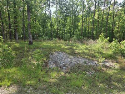 Lot 2130 Diamondhead Drive