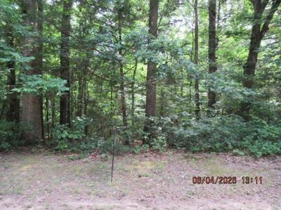 lot 65 block 4 Dave Creek Parkway