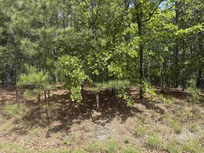 53 Altiplano Circle