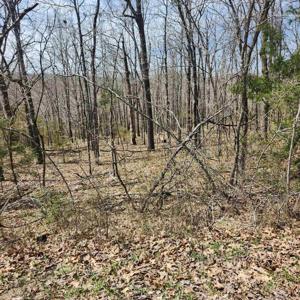 L-2 B-11 Flathead Drive