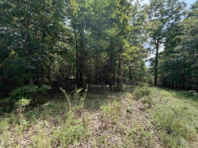 Lot 25 Blackfoot Drive