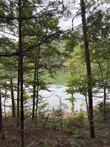 Bear Mountain Rd.