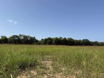Lot 31 Up River