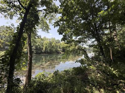 Lot 42 Up River