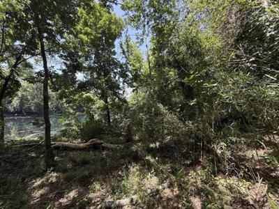 Lot 43 Up River