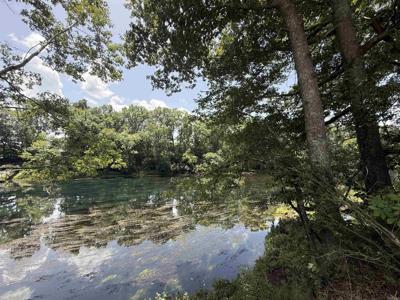 Lot 61 Down River