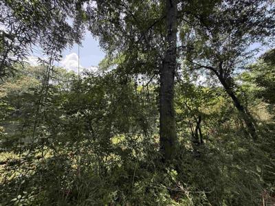Lot 62 Down River