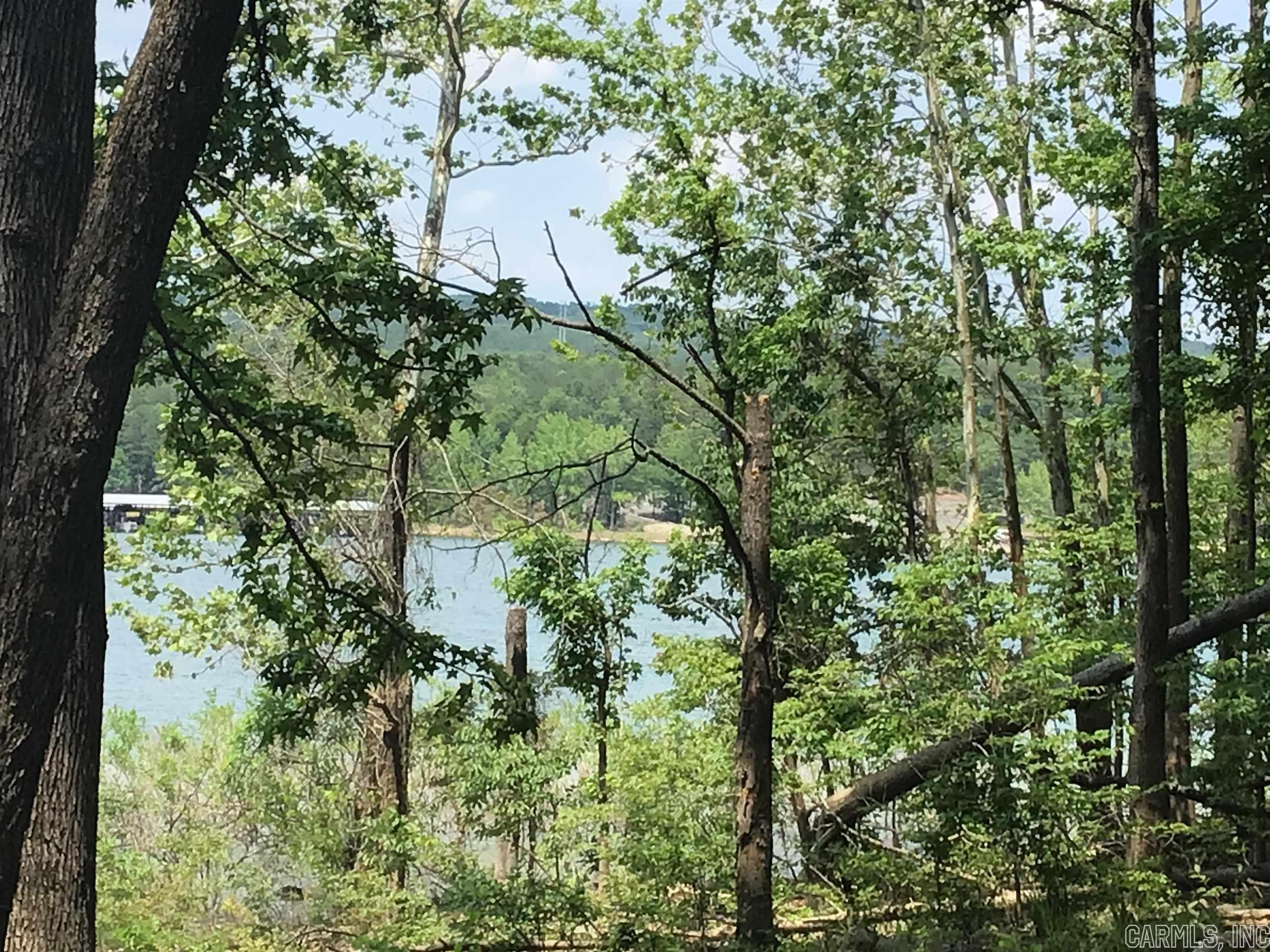 Image 2: Image 2