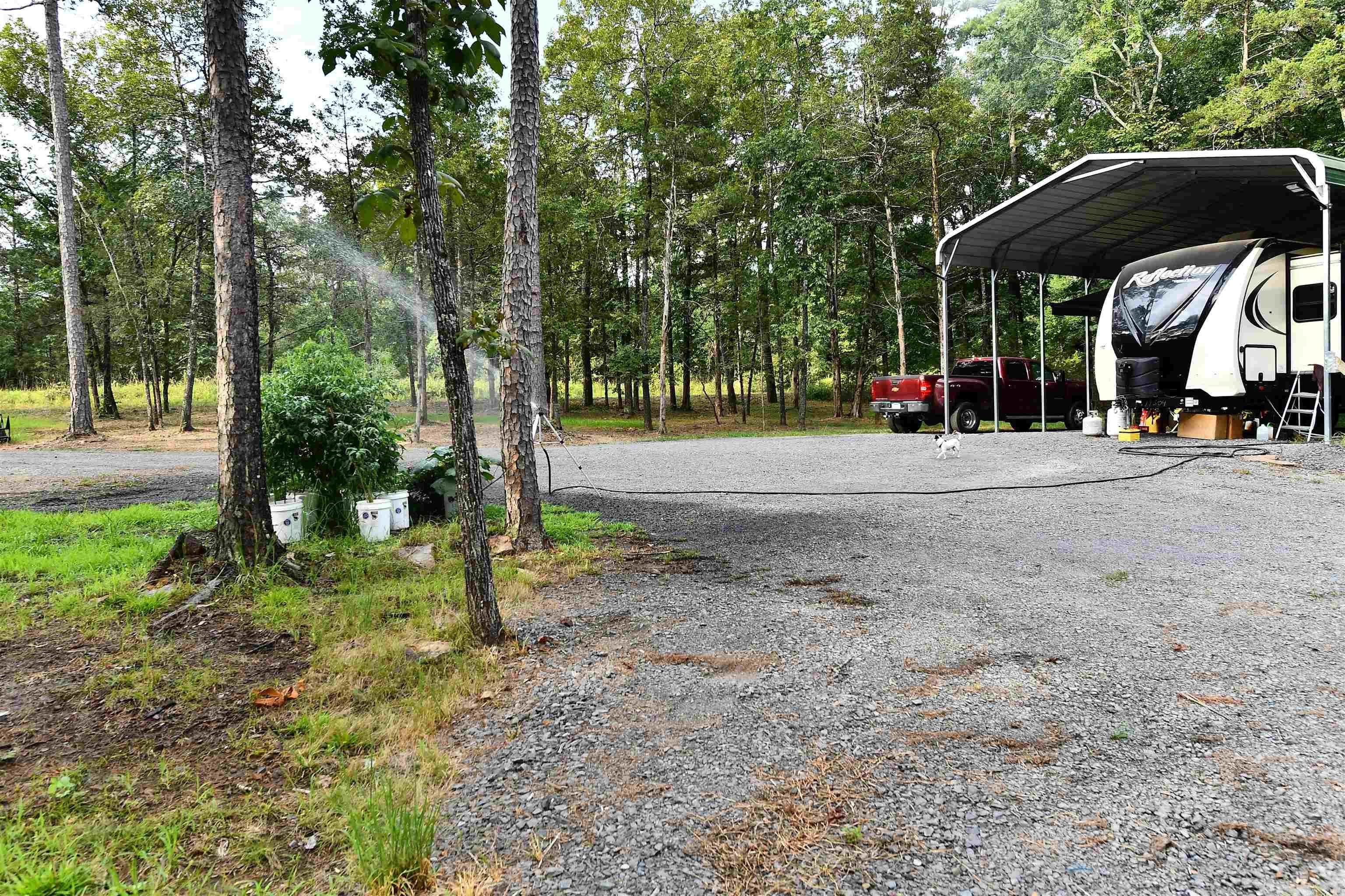 Image 4: Image 4