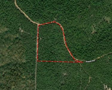 000 Newman Trail