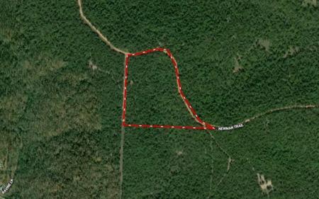 TBD Newman Trail
