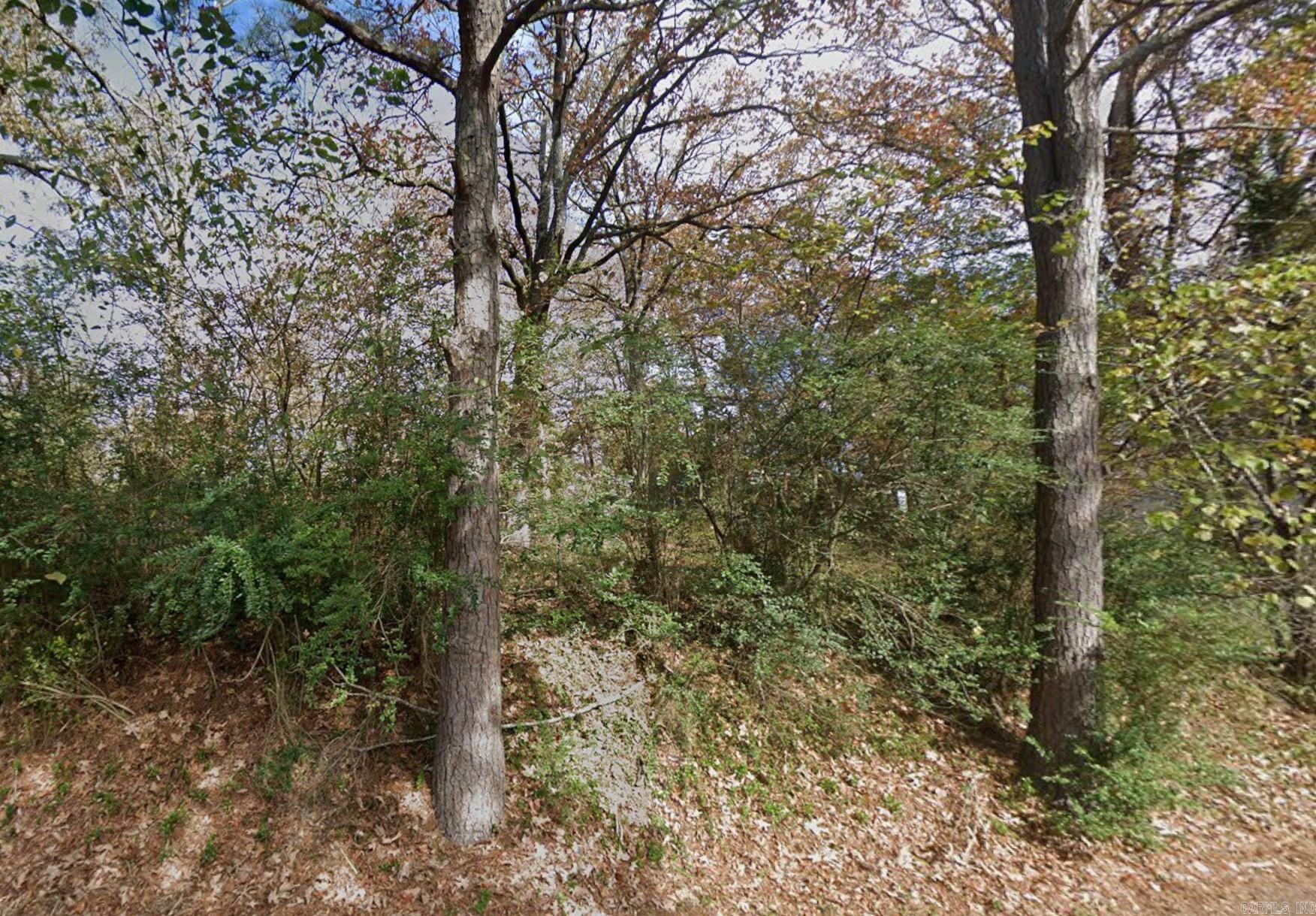 Image 2: Lot from Beach Haven Circle