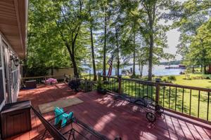 65 Whippoorwill