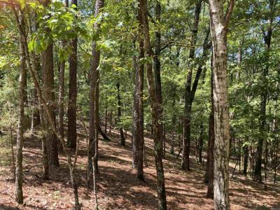9 Hillside Trail