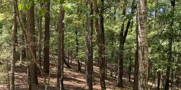 9 Hillside Trail